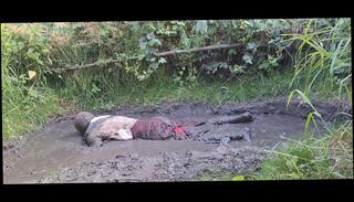 Video 1656367501: crossdresser solo masturbation, trans pantyhose lingerie solo, pantyhose fetish masturbation, amateur crossdresser solo, crossdresser pantyhose stockings, mature crossdresser solo, masturbation shemale ladyboy crossdresser, solo masturbation handjob, dress masturbates solo, european solo masturbation, solo outdoor masturbation, solo masturbation hd, crossdresser skirt, polish crossdresser, long masturbation, masturbation red