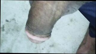 Video 1600967001: cartoon gay porn, cartoon anal, funny cartoon, indian cartoon, indian amateur anal homemade, boy dick