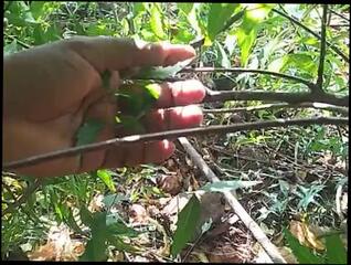 Video 1570830223: amateur solo male, solo blowjob, solo male outdoors, nude outdoor