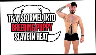 Video 1644914133: fetish gay solo, gay hunk solo, solo gay amateur, fetish male gay, puppy slave, slave breed