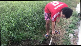 Video 997125965: bbw milf big ass, bbw milf blowjob, trans bbw shemale