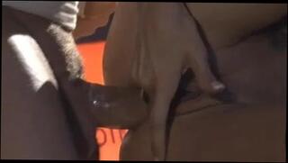 Video 107764101: pornstar anal sex, anal sex straight, blonde anal sex, table sex