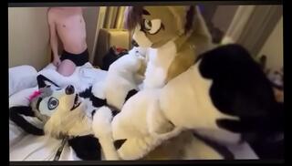 Video 986386925: gay furry, cute furry