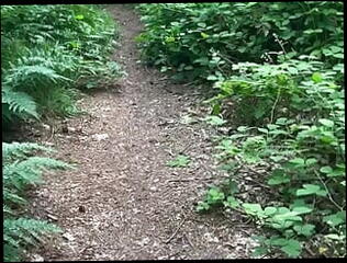 Video 1612078451: solo piss masturbation, piss wank cum, solo jerk cum, solo jerk gay, solo amateur jerking, homemade masturbation solo, foot wank, naked foot, pissing outdoors gay, pissing cumming outside, public piss cum, solo masturbation hd, bare foot, car foot, english wank, clothes jerking