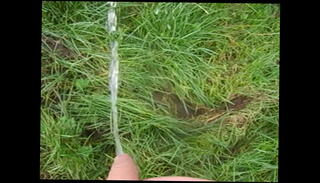 Video 103676975: pee piss urine, boy pissing urinal, pee pissing outdoor, solo urinate, pissing amateur, good piss, pissing old