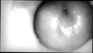 Video 1273380803: amateur creampie sex, sex toys creampie, creampied masturbation, camera creampie, wet creampie, sex toy sounding, penis masturbation, pussy camera