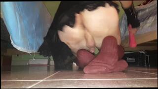 Video 1097113103: crossdresser sissy dildo solo, sissy crossdresser riding dildo, crossdresser sissy anal solo, solo dildo feet, solo teen riding dildo, solo anal dildo masturbation, sissy crossdresser trans, sissy crossdresser shemale, sissy crossdresser cock, amateur sissy crossdresser, sissy toy dildo, amateur teen dildo, italian sissy