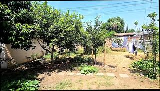 Video 1626480461: blowjob boy gay, gay good boy, gay beach boys, gay boy hd, boys time, boy uniform