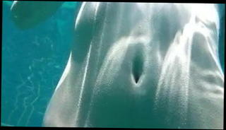 Video 113736701: japanese softcore, asian softcore, japanese straight