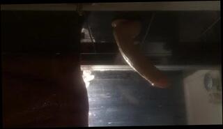 Video 176746301: john holmes, cock anal dildo toy, dildo sex toy anal, anal big dildo toy, dildo sex toy man, dildos toys porn, dildo gay toys, amateur dildos toys, cock arse