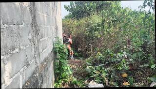 Video 1621487401: twink sissy femboy cum, twink femboy crossdresser, twink boys bareback fuck, daddy fucks twink bareback, gay bareback twink boy, amateur teen sissy crossdresser, twink boy friends bareback, african twinks bareback fuck, bear fucks twink bareback, sissy femboy blowjob, daddy barebacks asian twink, bareback fuck young twink, grandpa fucked crossdresser, hunk barebacks twink, twink big cock bareback, twinks bareback facial, twink old grandpa, indian sissy femboy, black femboys sissys, muscle twinks bareback, twink barebacking outdoors, gay twinks fucking men, fucking bareback hd, nigerian fuck boy