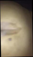 Video 957263301: doggy fucking bbc, ssbbw doggy, big ass fucked doggy, fucks bbc monster, straight bbc