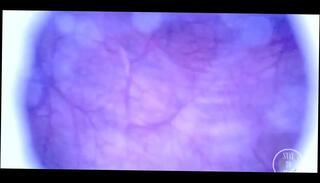 Video 1655132261: fetish pov, amateur shemale pov, amateur anal pov, anal pov hd, filled pov, inside pov