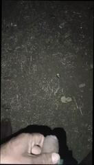 Video 1623520441: gay handjob porn, webcam gay porn, desi gay handjob, indian gay handjob, african gay porn, gay porn old young, asian gay handjob, gay porn young black, gay porn arab, hd porn handjob, cuming hands