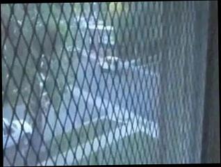 Video 149589401: amateur couple pov, hot couple pov, amateur public nudity, amateur home pov, hottest amateur pov, pov amateur outdoor, erotic pov, pov blonde amateur, pov straight, pov blondie, great pov, nudity hard, pov head