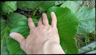 Video 1596492973: fetish solo, amateur solo sexy, cute amateur solo, sexy solo male, solo male public, solo outside, outdoor fetish, fetish natural, masturbation cute