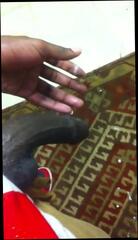 Video 333152401: uncut black gay dick, uncut dick masturbation, big cock dick uncut, amateur uncut cock