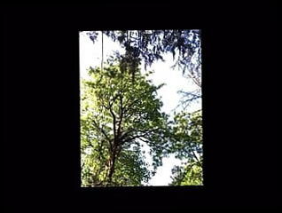 Video 1579491931: twink fucking gaping, twink anal gaping, twink gaped ass, twink boy pov, twink gaping gay, amateur twink compilation, solo twink boys, twink solo big cock, solo twink masturbation, pov sex compilation, young twink solo, hd pov compilation, gay horny twink fuck, anal fuck gape hole, twink boy friends fuck, twink boy fucked hard, twink fucks moaning, twinks outdoor gay sex, pov car fuck, twink fucked outside, twink public fuck, gay twink american, twink neighbor