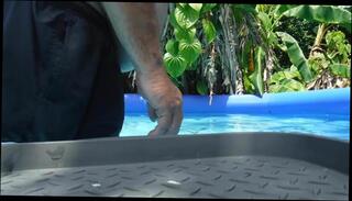 Video 326184801: gay bear fat, gay pool, belly gay, gay outdoor, balls, gay hd, dick, ass