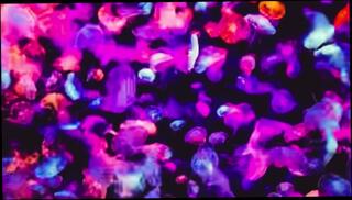 Video 1580012533: solo masturbation compilation, sexy solo babe masturbating, wife handjob compilation, big tits handjob compilation, wife sex compilation, amateur wife compilation, compilation babe big ass, big tit hardcore compilation, hardcore porn compilation, solo masturbation big dick, soft amateur solo, solo man big dick, female masturbation compilation, sex solo men, fisting compilation, women compilation, compilation babysitters, cheating compilation, muscular solo, sexy babe seduces, married women sex