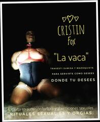 Video 1604786321: bdsm bondage fetish, crossdresser solo masturbation, barebacks shemale compilation, spanking bdsm bondage, solo crossdresser ass, ladyboy solo compilation, bondage sex compilation, bdsm hardcore bondage, solo toying compilation, mature crossdresser solo, bdsm bondage hot, crossdresser tranny shemale, sexy crossdresser masturbation, horny shemale bareback, big ass shemale compilation, latin shemale outdoor bareback, shemale loving compilation, stockings solo masturbation, solo masturbation hd, horny transsexual, very horny, tranny hard, good whore