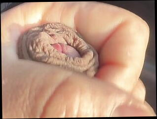 Video 1591782281: uncut dirty cum, uncut cock cums big, gay uncut masturbation, uncut daddy cock, uncut cock big cumshot, amateur uncut cock, big uncut latino cock, uncut cock outdoor, big black uncut cock, uncut hunk, uncut british, uncut public, uncut man, hd uncut, dirty talk cum, horny dick, car park masturbation, dick times, good cum, hard dick, love sex