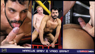 Video 709097304: hairy boy, pop, gay sex hunk, sucking fucking, big dark dick, big dick blonde