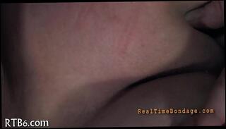 Video 402171995: leather pet