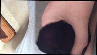 Video 364168701: gay masturbation cum, amateur masturbating cumming, stockings masturbating cum, amateur masturbation hd, neighbor cum