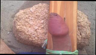 Video 355211001: bdsm punishment, big cock punishment, masturbation punishment, gay punishment, punishment amateur, punished outdoors, punishment hd, mistress