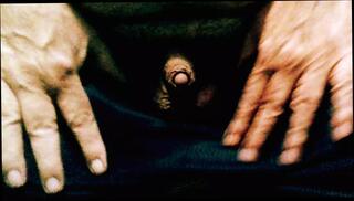 Video 1602804401: tiny cock humiliation, tiny uncut cock, crossdresser tiny cock, tiny dick humiliation, hairy uncut cock, hairy uncut daddy, chubby hairy daddy, chubby hairy gay, hairy chubby amateur, bear chubby hairy fat, uncut boy cock gay, fat uncut cock cumming, uncut cock balls, tiny little cock, small cock close uncut, uncut step daddy, american crossdresser, humiliation fantasy, hairy son, hd uncut, father step son gay, plays pecker