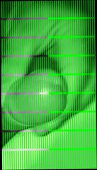 Video 316985701: gay cock wanked, amateur wanks cock, gay man wanking, wanking big cock, gay muscle cock, muscular gay man, wank hd, horny