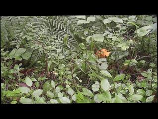 Video 176246801: sex toy collection, amateur collection, gay collection, hd collection, sex toys outdoors