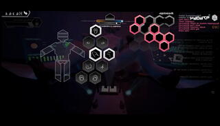 Video 1284193375: furry bear