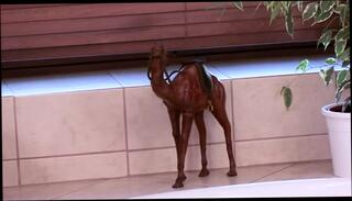 Watch the video about A stunning looking German MILF gets banged hard