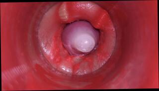 Video 1630188111: twink bareback gangbang, bareback creampie gangbang, bareback creampie compilation, creampie pov compilation, homemade creampie cumshot compilation, bareback gay anal creampie, amateur creampie cumshot compilation, pov blowjob bareback anal, creampie gangbang cum, twink ass hole barebacked, big cock bareback compilation, bareback compilation big dick, hunk barebacks twink, hardcore gangbang creampie, teen gangbang creampie, deep creampie compilation, pov creampie fantasy, creampie compilation hd, deep throat cum compilation, twink masturbate cum, twink cum mouth, man cum compilation, cock pov close, pussy cum, croatian cock