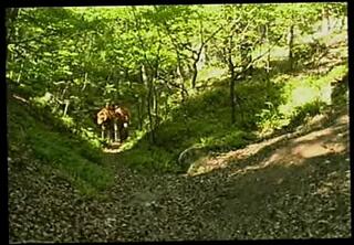 Video 147358701: double czech, gay porn