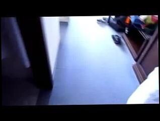 Video 167332601: brunette babe hardcore, babe straight, german brunette babe