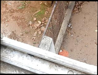 Video 1611313991: solo gaping, solo piss, pissing penis gay, piss gay cock, pissing straight gay, small penis pissing, gay guys pissing, solo close cock, black cock gapes, gaping indian, home solo, gape hd