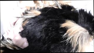 Video 1657560061: pantyhose fetish joi, joi femdom fetish, femdom mistress joi, fetish femdom milf, creampie amateur mature milf, femdom milf jerking, milf creampie cumshot, amateur milf solo, leather femdom mistress, femdom joi game, black pantyhose fetish, german femdom joi, talking milf creampied, european milf solo, milf stockings solo, milf solo hd, straight amateur solo, jerk instructions joi, pantyhose lady, mature woman creampie, skirt black pantyhose, blouse solo, german milf help, ejaculation training, sniffing cum