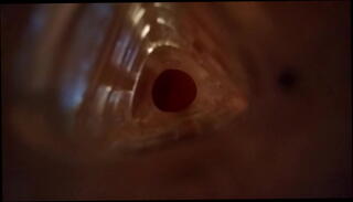 Video 409536765: solo male fleshlight, boy solo cumshot, solo boy cum, inside fleshlight