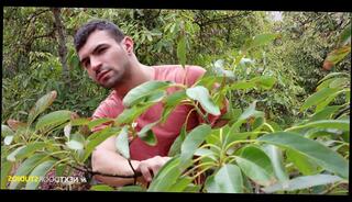 Video 952858935: gay bareback anal fucking, cock bareback anal fucking, bareback anal fucking blowjob, anal fucking raw bareback, bareback fuck deep throat, big dick bareback fuck, bareback fuck masturbation, bareback face fuck, bareback spit, thick masturbate