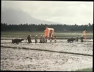 Video 167720801: vintage big boobs, vintage big tits, vintage straight, hungarian big boobs