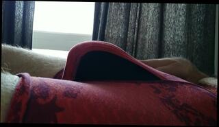 Video 812269103: solo gay uncut cock, hairy uncut daddy, hairy big uncut cock, hairy uncut dick, hairy uncut bear, underwear hairy, hairy uncut guy, uncut solo male, gay sexy underwear, uncut cock big cumshot, uncut cock handjob, straight hairy daddy, amateur uncut cock, big thick uncut dick, underwear cum, underwear public, solo exhibition, horny daddy cum