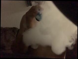 Video 1609726173: fetish solo, solo ass fuck, horny amateur fetish, fetish hardcore fuck, straight amateur solo, solo guy big dick, big dick solo male, smoking fetish fuck, straight solo men, muscular solo, tights fetish, ass fuck behind, high ass