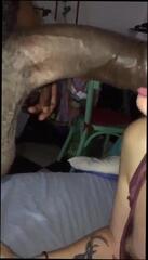 Video 255873901: bbc blindfolded, bbc amateur suck, sucking bbc blowjob, blindfolded straight, blonde sucks bbc, bbc hd