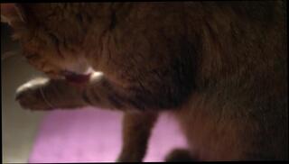 Video 1165268503: squirting licking pussy, pussy squirting orgasm, squirting toying pussy, amateur squirt pussy, squirting latin pussy, squirt 3some, squirting butt, squirt colombiana, redhead squirting, trio pussy licking, loves swallowing pussy