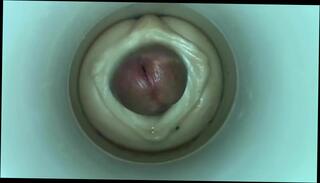 Video 354048601: cam model masturbating, amateur model masturbate, model cumming, model big cock, model gay, man model, model hd