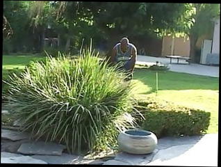 Video 1575256981: bikini slut, bikini bitch, bikini licking, bikini facial, bikini pussy, bikini cumshot, bikini sex, bikini blowjob, bikini tits, bikini ass, bikini outdoors, american bikini, black bikini, tattooed bikini, slut cunt licked, pussy licking straight, cunt licked pounded