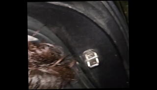 Video 1599055205: fuck deep throat, throat whore, hole throat